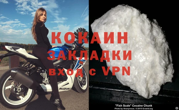 apvp Ельня