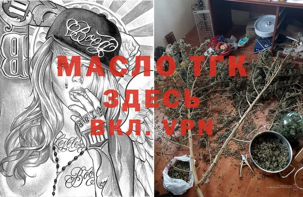apvp Ельня